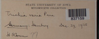 Image Associated With the Occurence